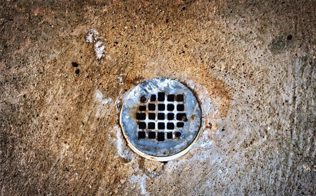 https://blockeddrainsinperth.com.au/uploads/2025/07/blocked-shower-drains-20432.jpg