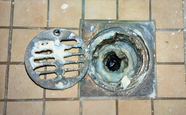 https://blockeddrainsinperth.com.au/uploads/2025/07/blocked-shower-drains-33151.jpg