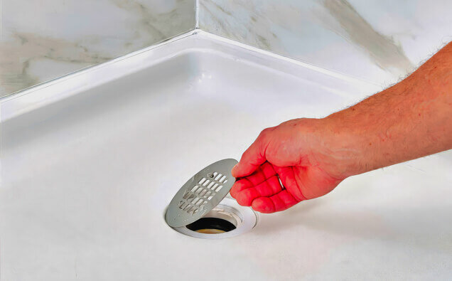 https://blockeddrainsinperth.com.au/uploads/2025/07/blocked-shower-drains-90992.jpg