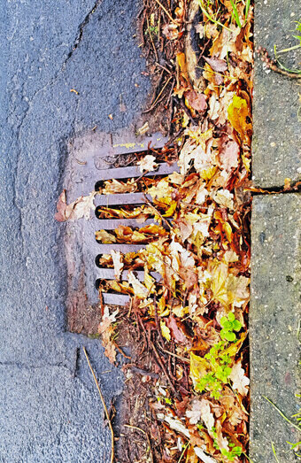 https://blockeddrainsinperth.com.au/uploads/2025/07/stormwater-drains-48051.jpg